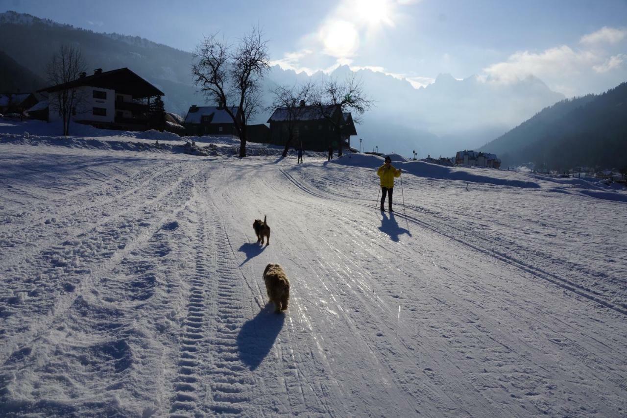 Appartementen Haus Bergblick Gosau Kültér fotó